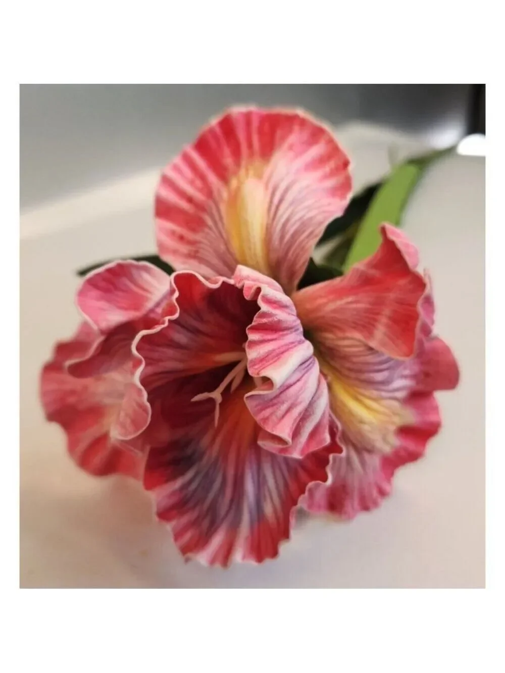 Artificial Iris Flower 33 Inch Tall Pink Faux Iris Stem Hand Painted Look Floral